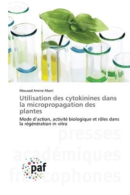 Utilisation des cytokinines dans la micropropagation des plantes 1