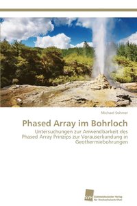 bokomslag Phased Array im Bohrloch