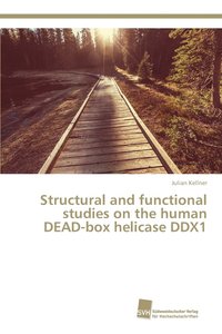 bokomslag Structural and functional studies on the human DEAD-box helicase DDX1