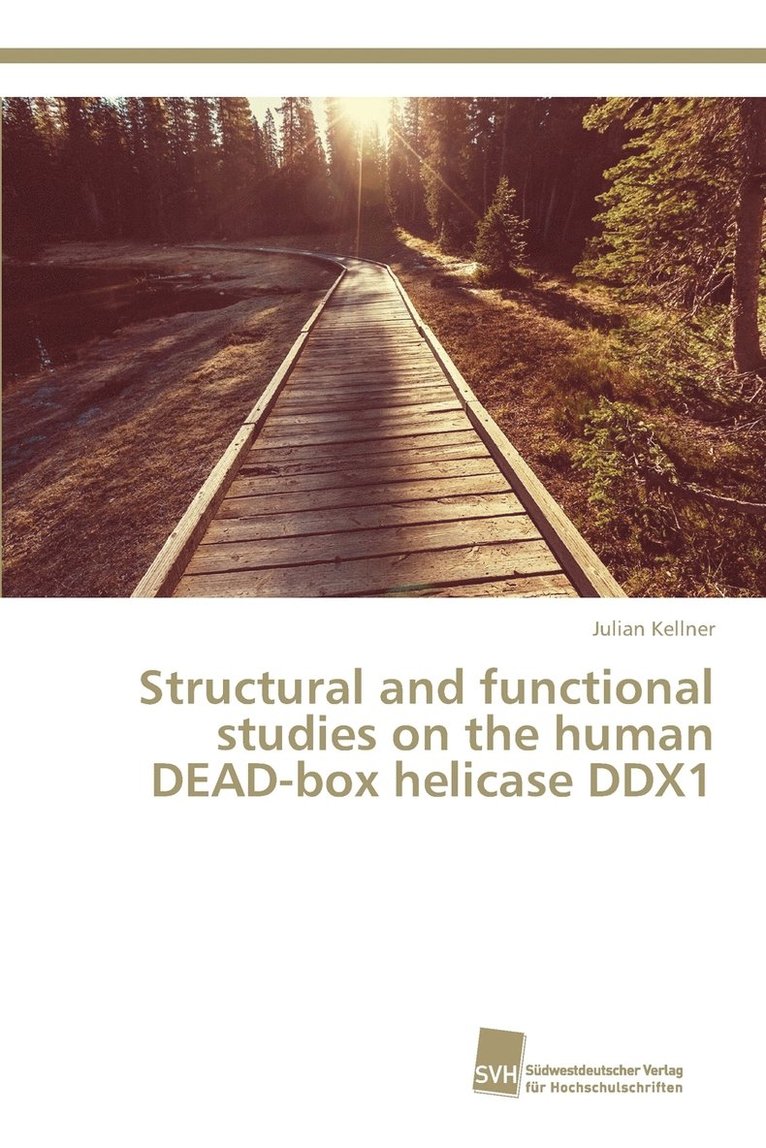 Structural and functional studies on the human DEAD-box helicase DDX1 1