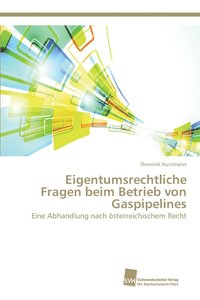 bokomslag Eigentumsrechtliche Fragen beim Betrieb von Gaspipelines