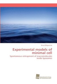 bokomslag Experimental models of minimal cell