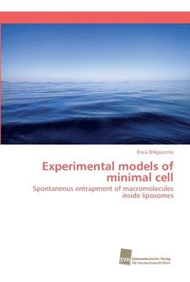 Experimental models of minimal cell 1