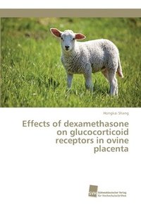 bokomslag Effects of dexamethasone on glucocorticoid receptors in ovine placenta