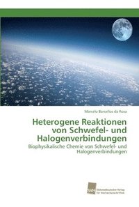 bokomslag Heterogene Reaktionen von Schwefel- und Halogenverbindungen