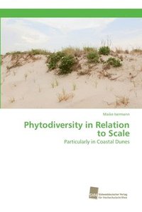 bokomslag Phytodiversity in Relation to Scale