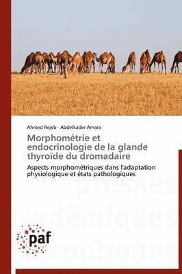 bokomslag Morphometrie Et Endocrinologie de la Glande Thyroide Du Dromadaire