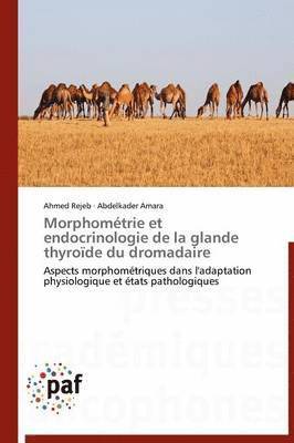 bokomslag Morphométrie Et Endocrinologie de la Glande Thyroïde Du Dromadaire
