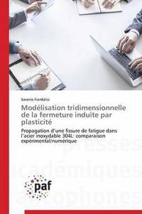 bokomslag Modelisation Tridimensionnelle de la Fermeture Induite Par Plasticite