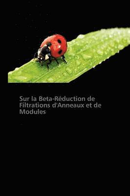 bokomslag Sur La Beta-Reduction de Filtrations d'Anneaux Et de Modules