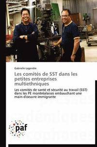 bokomslag Les Comités de Sst Dans Les Petites Entreprises Multiethniques