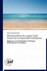 bokomslag Méiobenthos Du Lagon Sud-Ouest de la Nouvelle-Calédonie