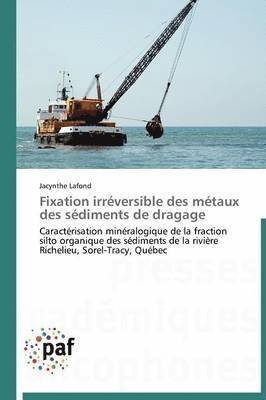 bokomslag Fixation Irreversible Des Metaux Des Sediments de Dragage