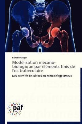 bokomslag Modélisation Mécano-Biologique Par Éléments Finis de l'Os Trabéculaire