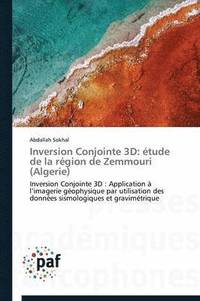 bokomslag Inversion Conjointe 3D