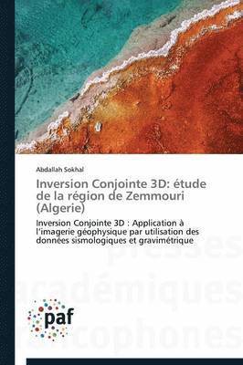 Inversion Conjointe 3D 1