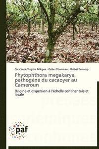 bokomslag Phytophthora Megakarya, Pathogene Du Cacaoyer Au Cameroun
