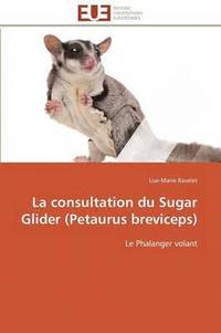 bokomslag La Consultation Du Sugar Glider (Petaurus Breviceps)