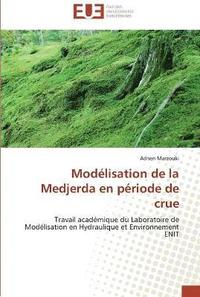 bokomslag Modélisation de la medjerda en période de crue