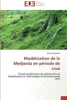 bokomslag Modélisation de la medjerda en période de crue