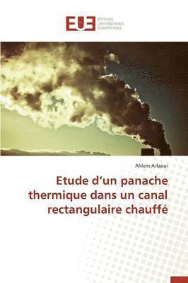 bokomslag Etude D Un Panache Thermique Dans Un Canal Rectangulaire Chauff 