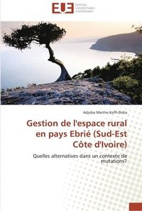 bokomslag Gestion de l'espace rural en pays ebrié (sud-est côte d'ivoire)