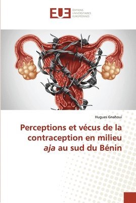 bokomslag Perceptions et vcus de la contraception en milieu aja au sud du Bnin