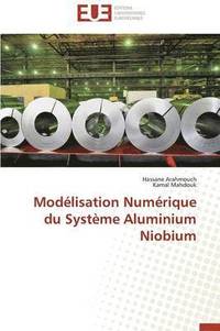 bokomslag Mod lisation Num rique Du Syst me Aluminium Niobium