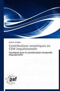 bokomslag Contributions Numeriques En Cem Impulsionnelle
