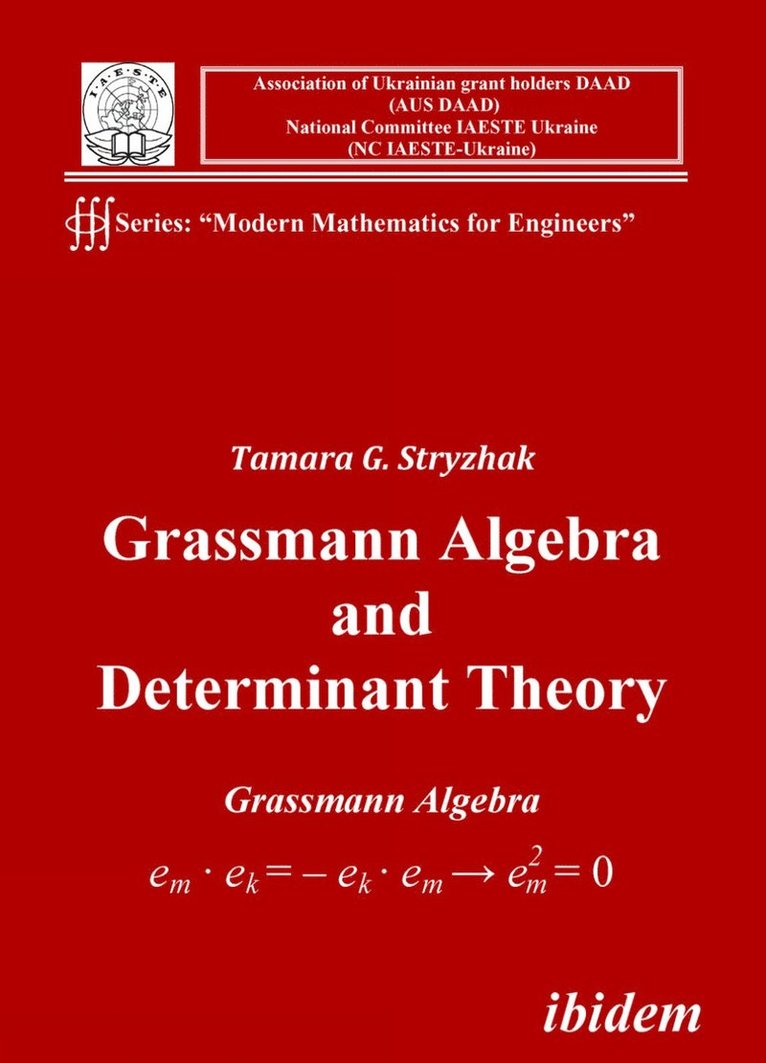 Tamara G Stryzhak, Tamara G. Stryzhak - Grassmann Algebra and Determinant Theory, Häftad