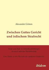 bokomslag Zwischen Gottes Gericht und irdischem Strafrecht. Strafe und Bu?e in Lebensbeschreibungen ottonisch-salischer Reichsbisch?fe. Eine Studie zu den Wurzeln des modernen Strafrechts