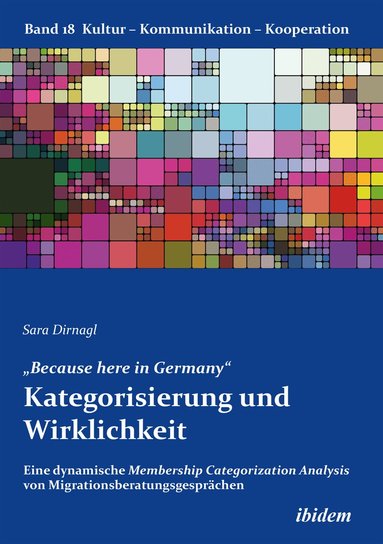 Sara Dirnagl, Gabriele Berkenbusch - „Because here in Germany“. Kategorisierung und Wirklichkeit, Häftad
