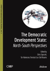 bokomslag The Democratic Developmental State - North-South Perspectives