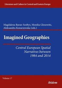 bokomslag Imagined Geographies