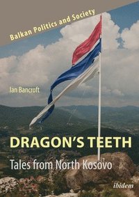 bokomslag Dragons Teeth  Tales from North Kosovo