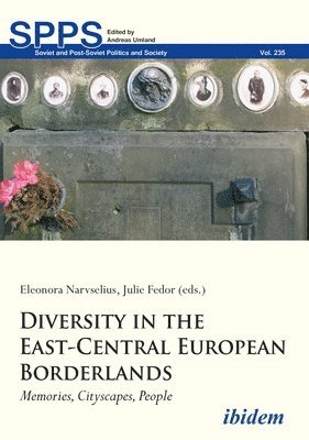 bokomslag Diversity in the East-Central European Borderlands