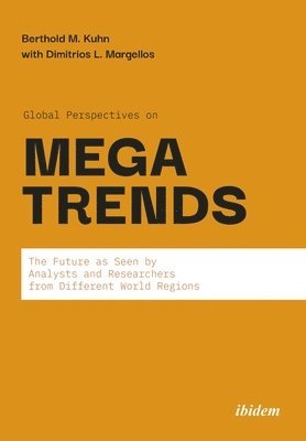 bokomslag Global Perspectives on Megatrends