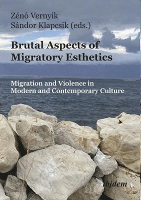 bokomslag Brutal Aspects of Migratory Esthetics