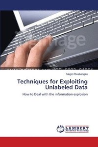 bokomslag Techniques for Exploiting Unlabeled Data