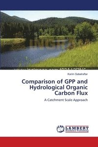 bokomslag Comparison of GPP and Hydrological Organic Carbon Flux