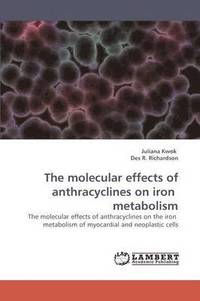 bokomslag The molecular effects of anthracyclines on iron metabolism