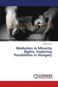bokomslag Mediation in Minority Rights