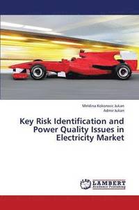 bokomslag Key Risk Identification and Power Quality Issues in Electricity Market