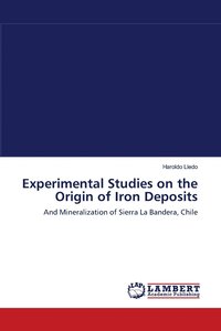 bokomslag Experimental Studies on the Origin of Iron Deposits