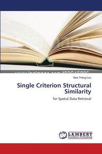 bokomslag Single Criterion Structural Similarity
