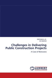 bokomslag Challenges in Delivering Public Construction Projects