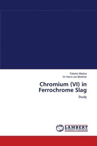 bokomslag Chromium (VI) in Ferrochrome Slag