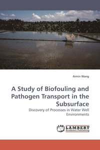 bokomslag A Study of Biofouling and Pathogen Transport in the Subsurface