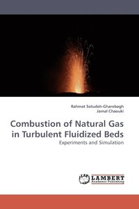 bokomslag Combustion of Natural Gas in Turbulent Fluidized Beds