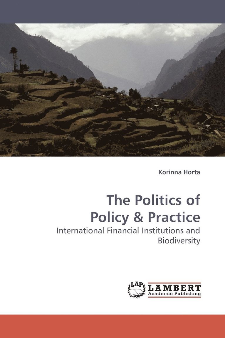 The Politics of Policy 1